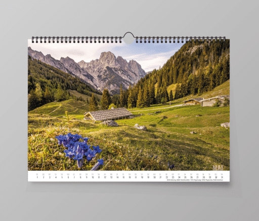 Frühling auf der Bindalm mit Blick auf die Ramsauer Dolomiten, Mai-Bild im Berchtesgaden Kalender 2024.