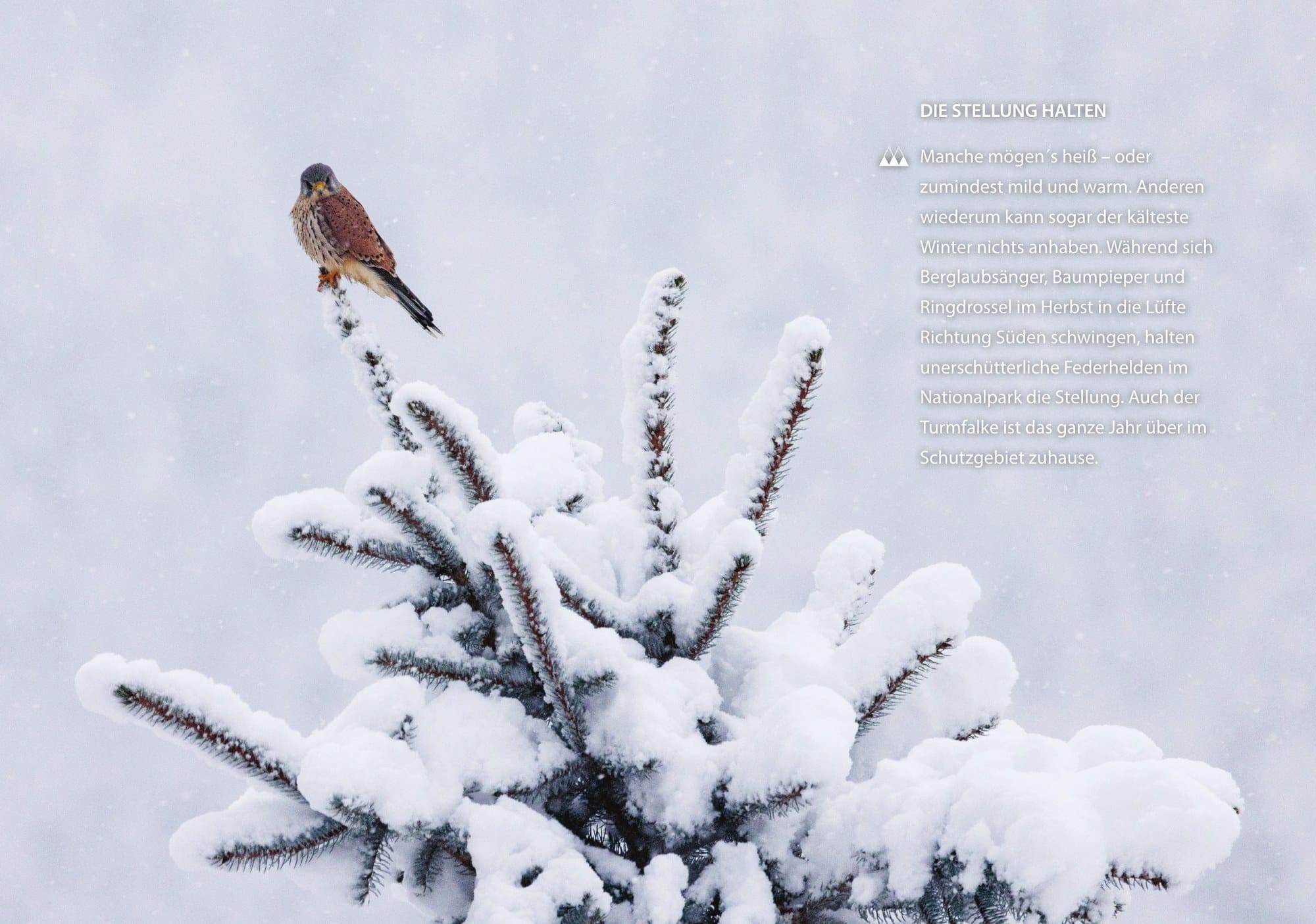 Nationalpark Kalender 2027 Monatsblatt 1 Berchtesgaden Plenk Verlag