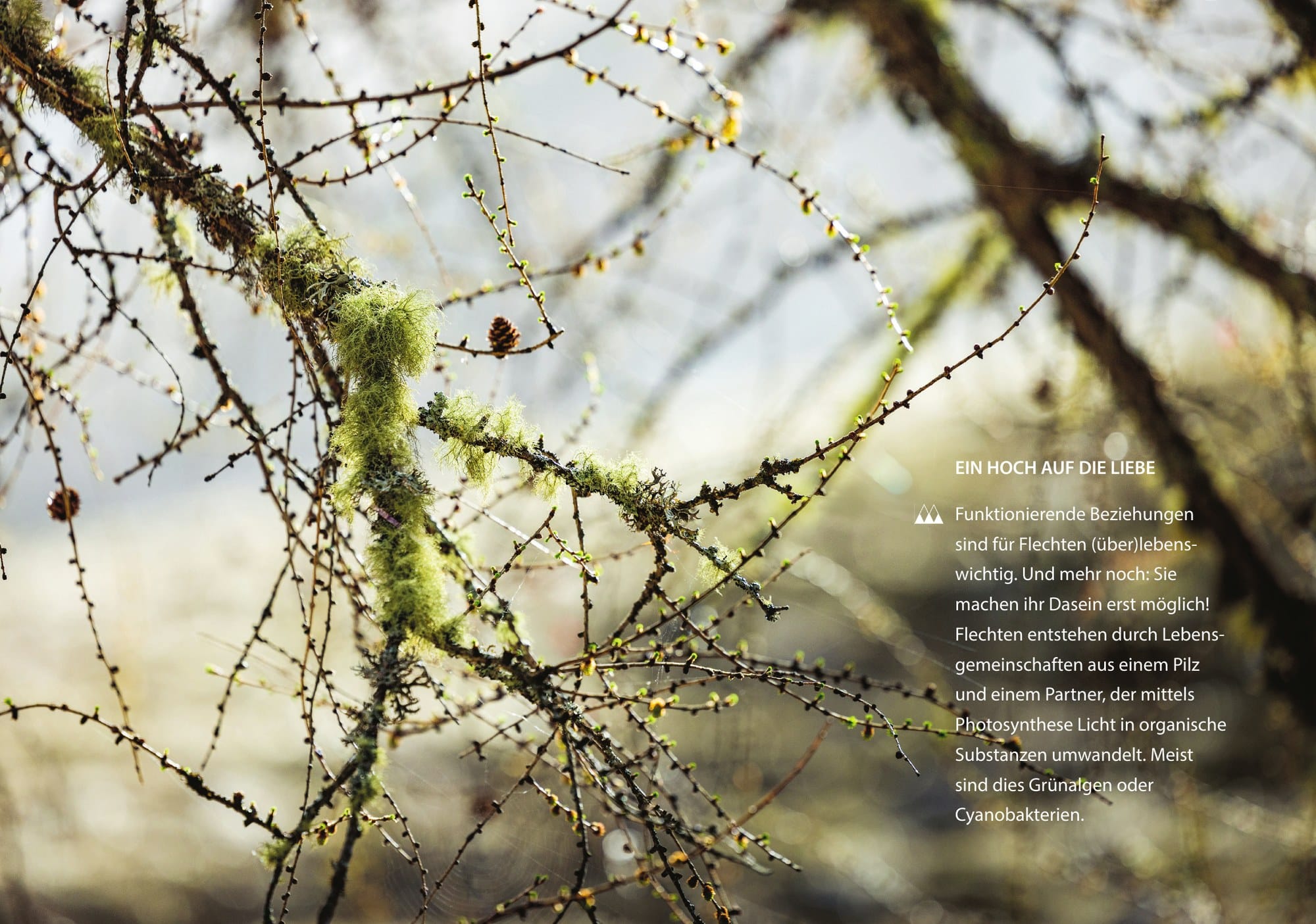 Nationalpark Kalender 2027 Monatsblatt 3 Berchtesgaden Plenk Verlag