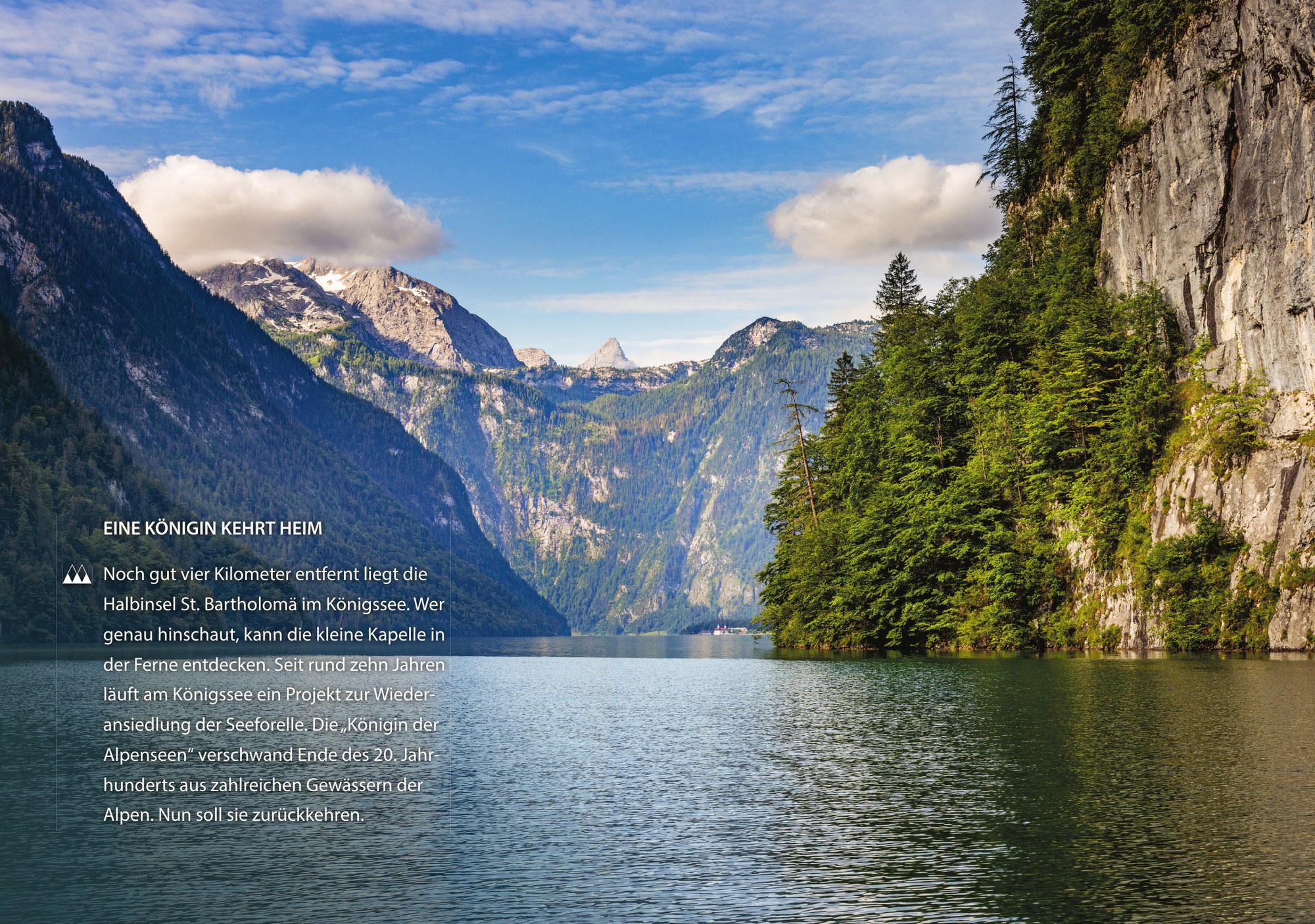 Nationalpark Kalender 2027 Monatsblatt 5 Berchtesgaden Plenk Verlag
