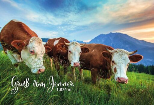 Magnet – Gruß vom Jenner Nr. 22