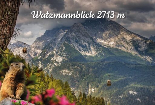 Magnet – Watzmannblick mit Murmeltier Nr. 53